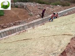 給大家講一下生態(tài)護坡毯的施工方法