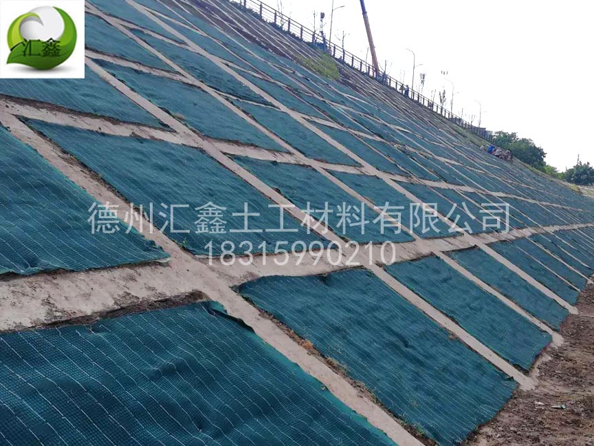 植生毯在護(hù)坡綠化工程中有什么作用？