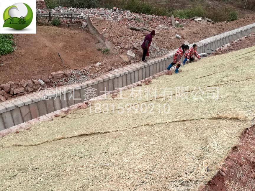 植生毯用于礦山生態修復