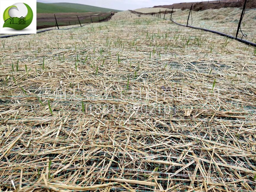 植生毯是怎樣實現護坡綠化的？