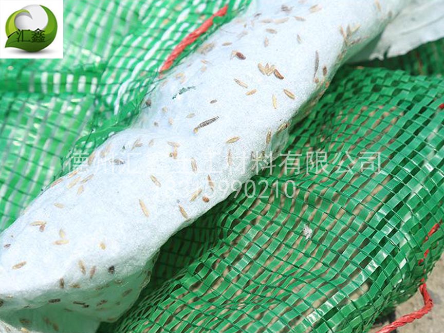 植生袋是什么？有什么特點？(圖2)