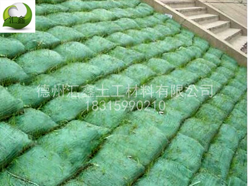 植生袋可以應用在什么地方？(圖2)