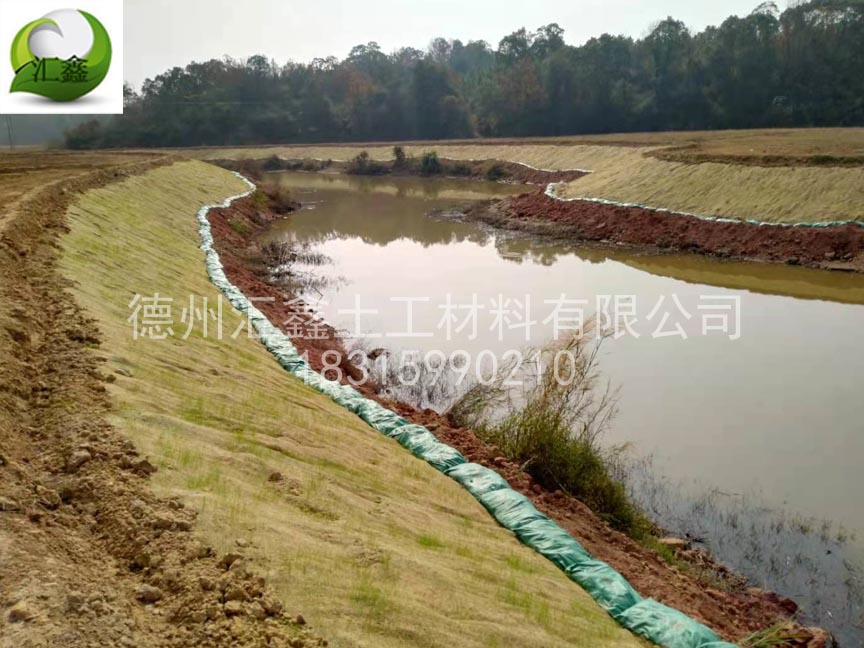 植生毯多少錢一個平方？(圖1)