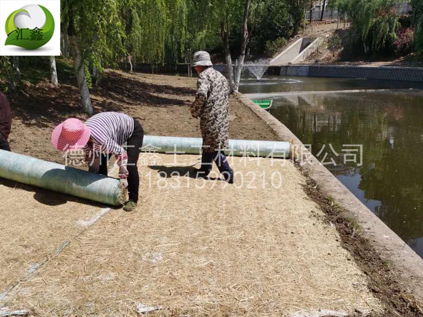 植生毯是怎樣實(shí)現(xiàn)護(hù)坡綠化的？(圖1)