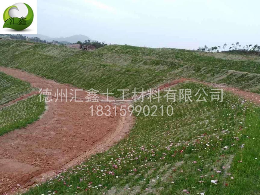 生態護坡毯對環境有污染嗎？(圖3)