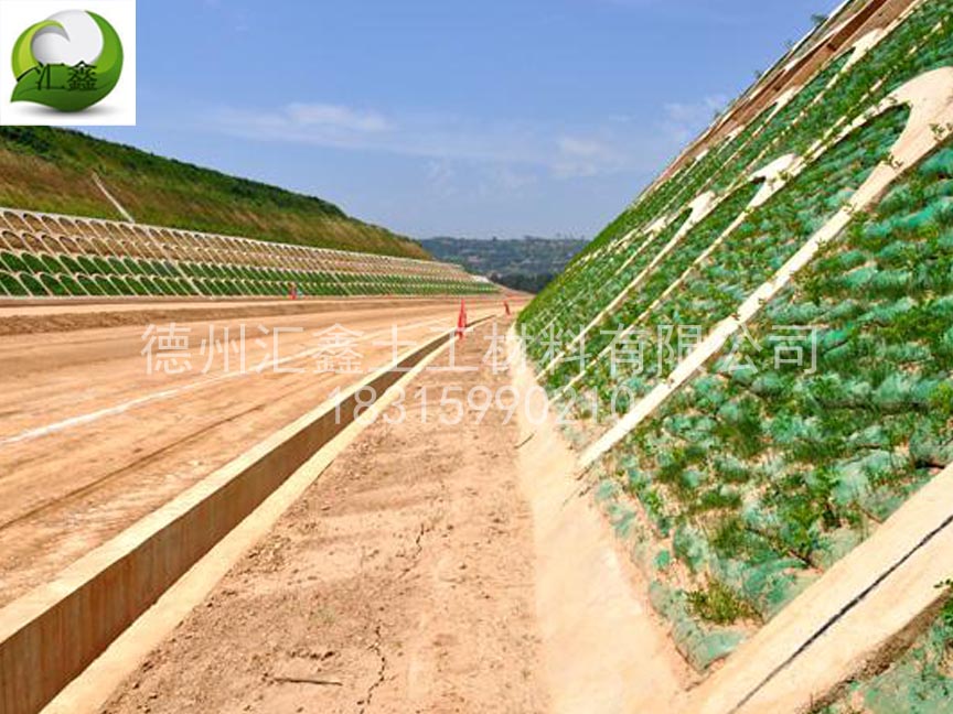 植生袋可以應用在哪些地方？