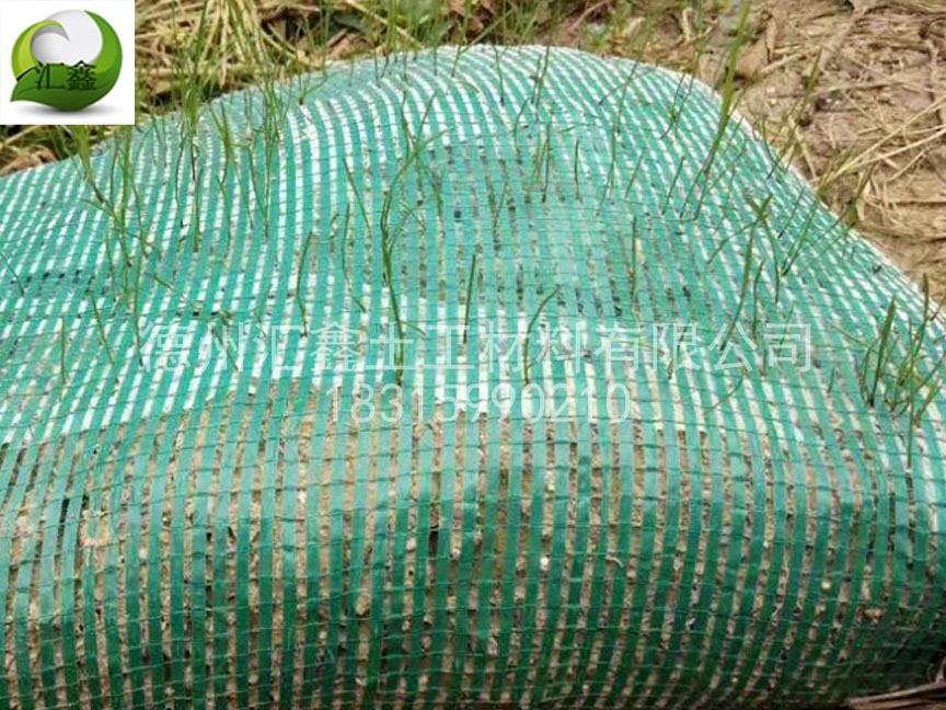 植生袋的具體施工方法(圖3)