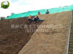 植生毯為什么可以護(hù)坡？