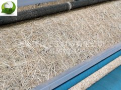 德州匯鑫真正的生產廠家每天都在發貨中。。。